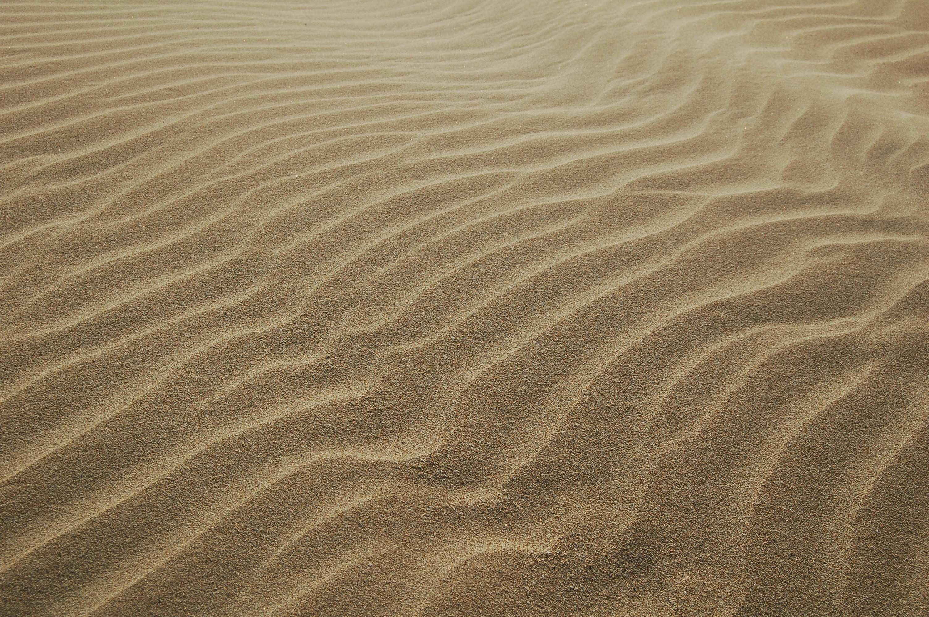 Sand ripples